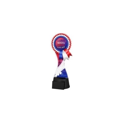 Poháry Bauer Akrylátová trofej EDS22ACUTC01