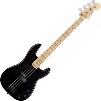 Fender Roger Waters Precision Bass