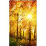 DIMEX ART Флизелинов фототапет слънчева гора 150 x 250 см