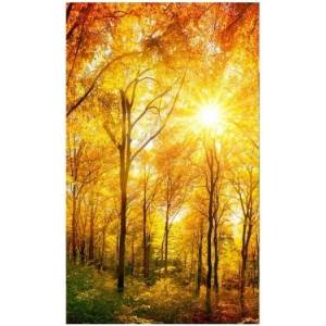 DIMEX ART Флизелинов фототапет слънчева гора 150 x 250 см