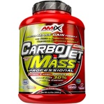Amix Nutrition CarboJet Mass Professional [3000 грама] Горски плодове