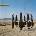 Alan Parsons - Try Anything Once (CD) (8718627232736)