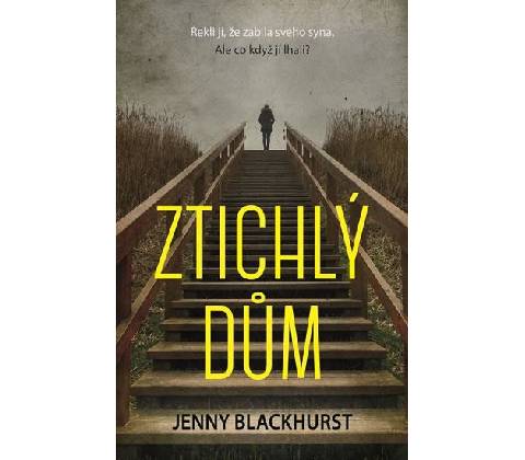 Ztichlý dům
