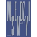 Medzisny
