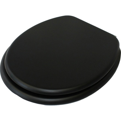 MSV CLEO 140342