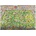 Heye - Puzzle Mordillo: Crazy Football - 4 000 piese