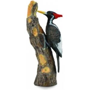 CollectA Dzięcioł Wielkodzioby L