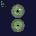 Should - Feed Like Fishes (Reissue) (Coloured) (2 LP) (0825764193238)