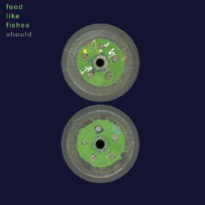 Should - Feed Like Fishes (Reissue) (Coloured) (2 LP) (0825764193238)
