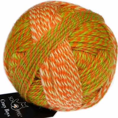 Schoppel Wolle Crazy Boys 2706 Olaf