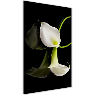 Vertikálny foto obraz sklenený Biela dália 50x100 cm