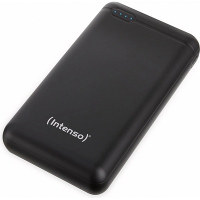 Intenso 7313550