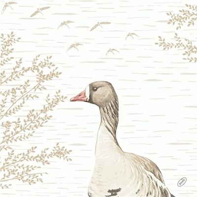 BioDunisoft Ubrousek WOOD & GOOSE 100031778 40x40cm 60ks – Zboží Dáma