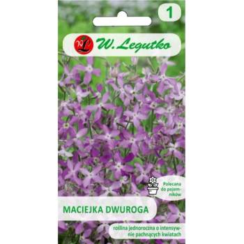 W. Legutko Maciejka bidentata, розово-лавандулово