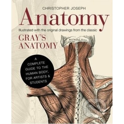 Anatomy - Joseph Christopher