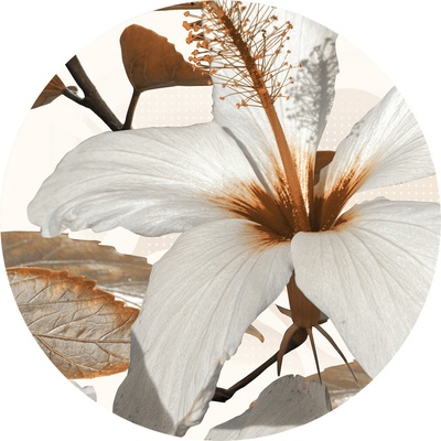 AG Design CR3317 Samolepicí vliesová fototapeta Lily rozměry 140 x 140 cm