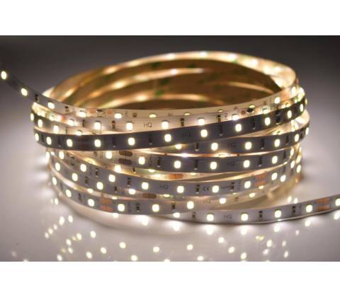 T-LED 079242