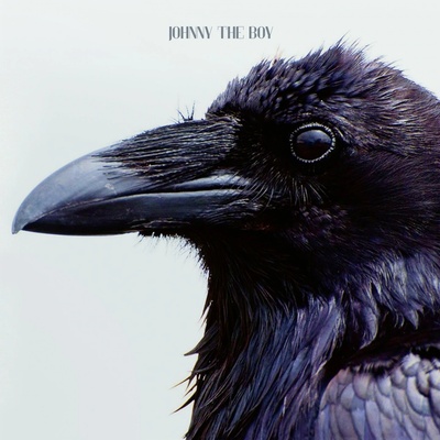 JOHNNY THE BOY - YOU CD