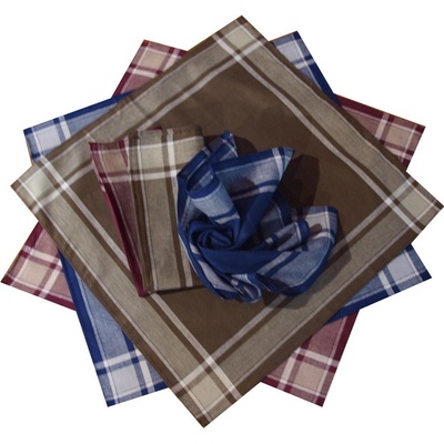 Etex Bavlněné kapesníky pánské typ K 40x40 – Zboží Dáma