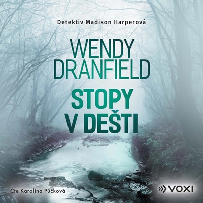 Stopy v dešti