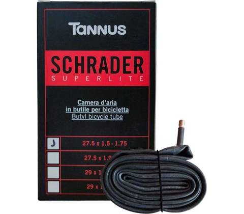 Tannus Av