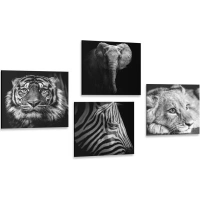 Set obrazů divoká zvířata v černobílém provedení - 4x 60x60