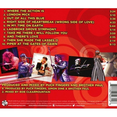 WATERBOYS, THE - WHERE THE ACTION IS CD