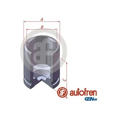 Píst, brzdový třmen AUTOFREN SEINSA D025608