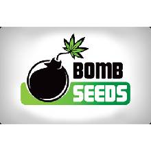 Bomb Seeds Big Bomb semena neobsahují THC 5 ks