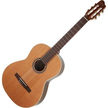 Godin Collection