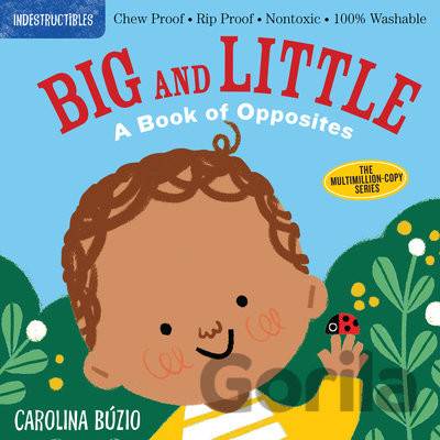 Big and Little - Carolina Búzio Ilustrátor, Amy Pixton