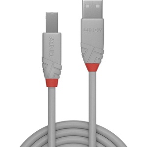 Lindy 36683