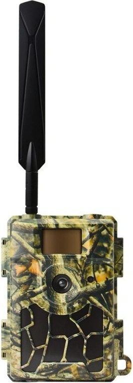 Wachman Rio 4G