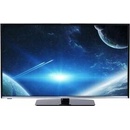 Orava LT-1095 LED C181SA