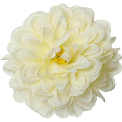 HLAVA DAHLIA KRÉM P:10CM BAL:12KS