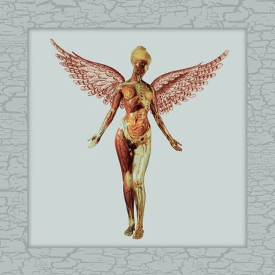 Nirvana - In Utero (Limited Edition) (Deluxe Edition) (4 LP)