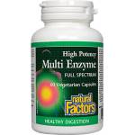 Natural Factors High Potency Multi Enzyme Full Spectrum 450 mg [60 капсули]