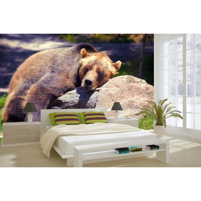Dimex MA-5-0434 Samolepicí vliesová fototapeta na zeď Spící medvěd grizzly rozměry 375 x 250 cm