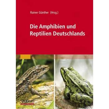 Image 1 of Die Amphibien Und Reptilien Deutschlands | Rainer Günther