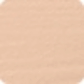 Shiseido Synchro Skin Self-Refreshing Foundation dlouhotrvající make-up SPF30 160 Shell 30 ml