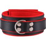 Dominate Me Leather Collar D31 Black-Red