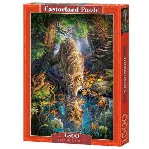 Castorland 1500 - piece puzzle Wolf in the Wild