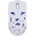 White Shark DAGONET-W