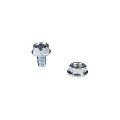 Baks Bolt + collar cap SKK M6X10 650152 /100pcs. /