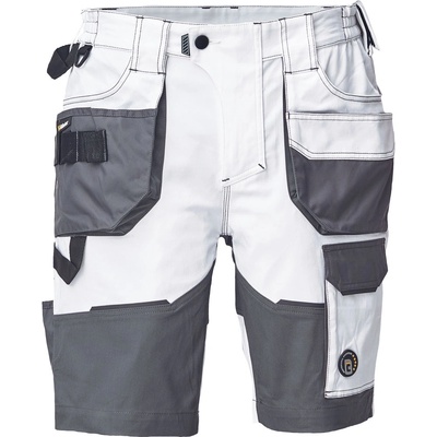 CERVA DAYBORO 0310002780060