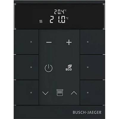 Busch-Jaeger 2CKA006220A0900