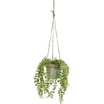 Casa Selección Изкуствено растение (височина 34 cm) - Casa Selección (805322)