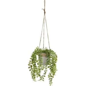 Casa Selección Изкуствено растение (височина 34 cm) - Casa Selección (805322)