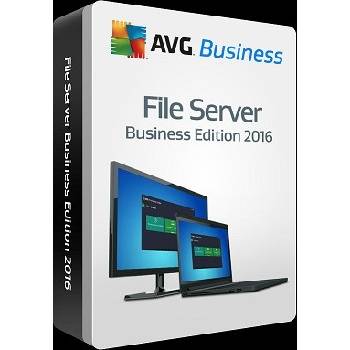 AVG File Server Edition 2013 2 lic. 1 rok DVD (FSCBN12DCZS002)