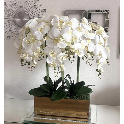 Orchidea v zlatom kvetináči